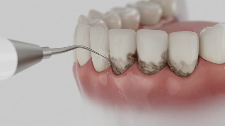 Reliable Dental contractor in Cary, NC by Dentist Open Now